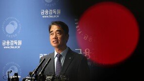 금감원 부원장 “고려아연 사건 검사·심사·조사 총동원…신속 처리할 것”