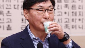 ‘쌍방울 대북송금’ 이화영 항소심…검찰, 징역 15년 구형