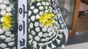 “삼촌이랑 콘서트 가기로 했는데”…‘청소차 참변’ 초등생에 아이브도 추모