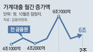 2금융권 ‘대출 풍선효과’… 지난달 2조 불며 3년만에 최대 폭