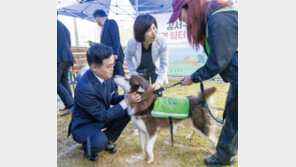 [강서구] 반려견 쉼터서 산책… 애견카페 안 부럽다