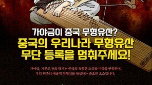 가야금이 중국 무형유산?…반크, 한국 문화유산 보호 캠페인