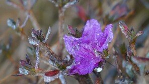 서울 첫 서리-춘천 첫 얼음 관측…입동엔 수도권 최저 영하 3도 