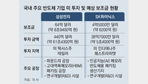 “트럼프 2기 정부 출범前 보조금 받아야”… 美투자 국내 기업들 ‘리스크’ 해소 분주