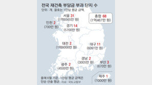 서울 재건축부담금 예상단지 31곳… 1인당 평균 1억6000만원