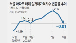 서울 아파트 실거래가지수 올해 첫 하락… “대출규제 여파”