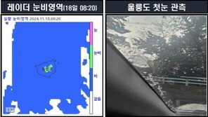 울릉도 올해 첫눈 관측…작년보다 1일 늦어