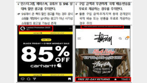 ‘블프 89% 할인’ 혹해 신발 6개 샀는데 사이트 폐쇄…“쇼핑 조심”