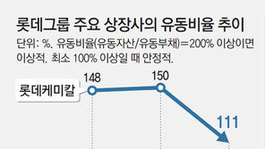 롯데 “부동산-가용예금 71조”… 유동성 위기설에 이례적 자산 공개