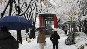 ‘거세지는 눈발’ 수도권 대설경보 확대…중대본 2단계 격상