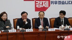 친윤 김민전, 韓 면전서 “드루킹 같은 여론조작”…친한계 “한동훈 임계점 왔다”