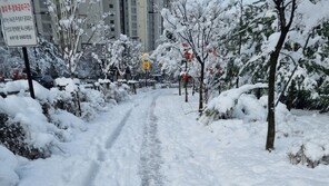 폭설보다 위험한 블랙 아이스… 사고 잦은 위험도로는?