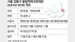 11월 송파-강동구 전셋값 하락은 ‘올파포’ 때문[부동산 빨간펜]