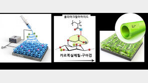 KAIST 연구팀, 물 활용 차세대 리튬금속 전지 750% 수명 늘려