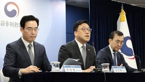 “주주가치 훼손 유상증자, 제도 개선 들여다보겠다”