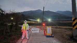 강진 오리농장서 AI 항원 검출…영암 이어 두 번째