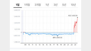 비상계엄에 원화가치 폭락…달러당 1430원 돌파