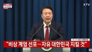 “국장 피해 미장 갔는데” 나스닥 간 쿠팡·네이버웹툰 ‘폭락’