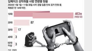 ‘딥페이크 봇’ 위험한 놀이… 성착취물 사건 5명중 1명이 촉법소년