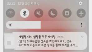 “계엄령 대비 생필품 주문 타이밍”…광고 메시지 보낸 개발자 ‘뭇매’