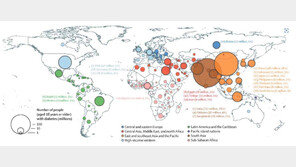 지구촌 당뇨병환자 8억명 이상…가장 많은 나라는 ‘이곳’