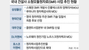 탄핵 정국속 ‘스웨덴 SMR-우크라 재건’ 해외건설 수주 먹구름