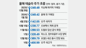 신차 출시-머스크 규제 완화 기대감… 테슬라 주가, 3년만에 400달러 고지