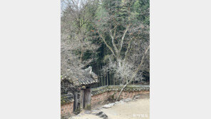 바람 부는 날에는 별서에 가야 한다[김선미의 시크릿가든]