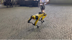 ‘4족 보행 로봇’ 투입해 고로 설비 점검 무인화