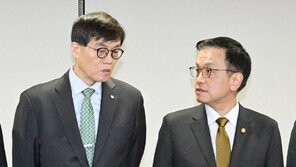 최상목 “외환 변동성 과도시 추가 시장안정조치 과감·신속 시행”