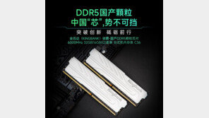 中발 DDR5 공습…메모리 업계, 기술 격차에 속도