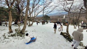 제주도 산지 대설주의보…21일까지 최대 15㎝