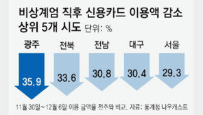 계엄으로 소비 꽁꽁, 이달초 신용카드 이용액 26% 급감