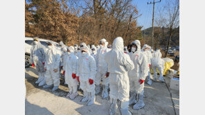 김제 산란계 농장서 15번째 고병원성 AI…36시간 전국 이동중지