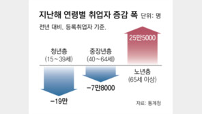 일하는 노인, 3명중 1명 취업… 가난한 청년, 주택 보유 12%