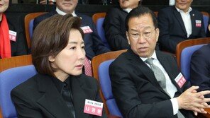 국힘 ‘비대위원장 교통정리’ 의총…권영세·나경원 경쟁 구도