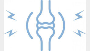허리는 뻣뻣, 무릎은 욱신… 통증 방치하면 연골 건강도 닳는다