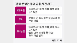 “은행 대출사고 차단” 서류 확인-담보가치 산정 깐깐해진다