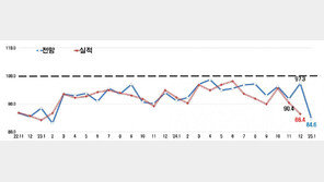 기업들 “내년 경기도 어렵다”…34개월 연속 부진