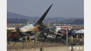 단거리 비행에 많이 쓰는 ‘보잉737-800’… 국내 100여대 운영