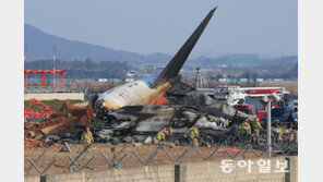 [사설]무안공항 대참사… 비통하고 안타깝다