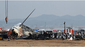 김해공항, 6년간 조류 충돌 147건…14개 지방공항 중 최다