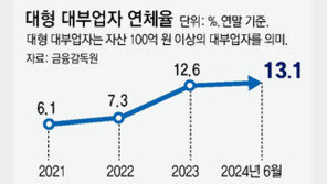 대부업 연체율 13% 역대최대… 저신용자 불법 금융 몰릴 우려