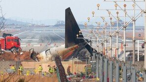 “무안공항 사고, 조류 충돌만 원인 되긴 어려워” SCMP