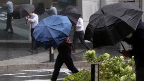 각종 기록 갈아치운 최악의 폭염… 가을까지 이상고온-폭우 이어져