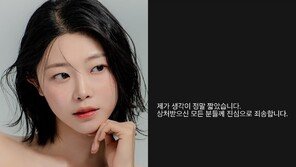 최혜선, 제주항공 참사 영상 공유 뭇매…“생각 짧았다” 사과