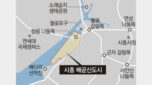 경기 시흥시, 배곧신도시 도시개발사업 15년만에 마침표