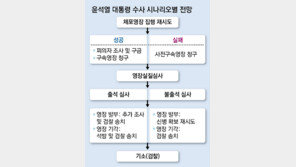 공수처, 尹체포 못하면 곧바로 구속영장 청구할 수도