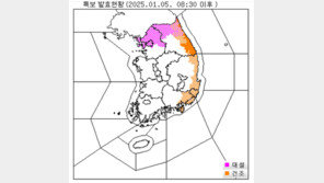 [속보]서울도 대설주의보…최대 8cm 눈, 중대본 1단계 가동