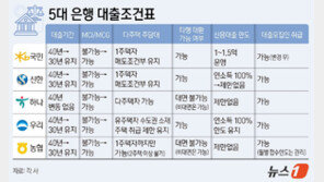 주요 은행 대출 빗장 푼다는데…다주택자·신용대출 조건 다르다